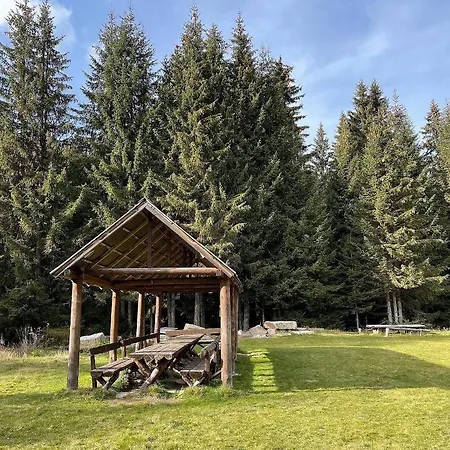 Apartment Woodside 106 Kopaonik