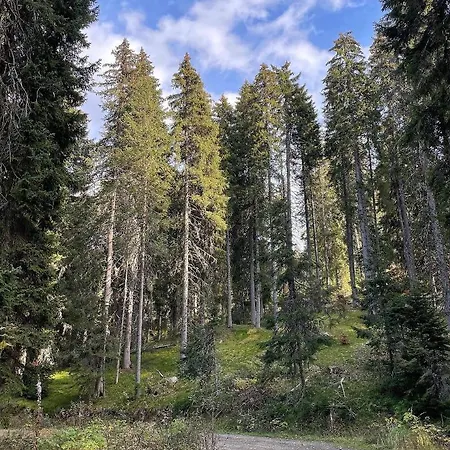 Woodside 106 Lägenhet Kopaonik