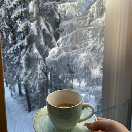 Apartment Woodside 106 *