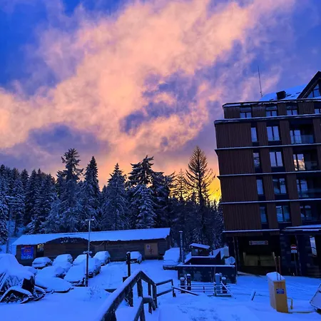 Woodside 106 Apartment *